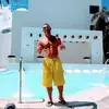 jamesgann5 - @james.gann2 - TikTok