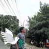 james ganzan - @jamesganzan338 - TikTok