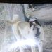 James Garrigan - Facebook