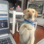 James Garzon - @james.garzon.9615566 - Instagram