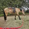 James Younce - @james.younce - TikTok