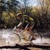 Jim Geertsema - Facebook