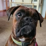 James Genz Jr - @soxfan124 - Instagram