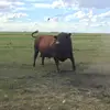 James Genzler - @jamesgenzler - TikTok