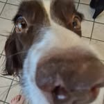Thomas James Gerdes Davies - @thomas_james_davies - Instagram