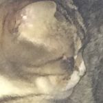 Gerhard James Dueck - @gerhard_james - Instagram
