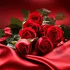 James  Gerhard - @james.gerhard - TikTok