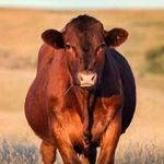 @james__gerhardt - Instagram