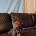 James Gholson - Facebook