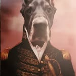 Brian James Giblin - @bacon_mage - Instagram