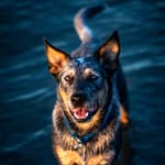 James Giblin - @projexphoto - Instagram