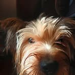 James Gibson - Facebook