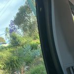 James Gillespie - @jamesgillespie___ - Instagram