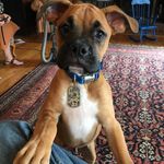 Siglx - @jamesgimpel - Instagram