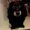 james ginder - @user368807076 - TikTok