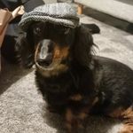 Jamesginders - @jamesginders - Instagram