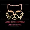 James Gipe Gipe!!! - @jamesgipegipe4 - TikTok