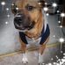 Jimmy Giustino - Facebook