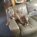 James Glaspie - Facebook