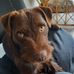 James Glaves - Facebook