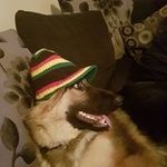 James Glossop - @james.glossop1 - Instagram