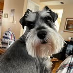 Wesley James Goldfarb - @wesley4me_ - Instagram
