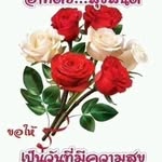 เจมส์ เบน - @goodeveningjames1492021 - Instagram
