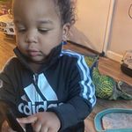 James Goodwyn - @mousie75 - Instagram