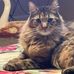 Jim Goslee - Facebook