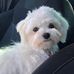James Gottfried - Facebook