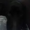 jamesgowing7 - @jamesgowing7 - TikTok