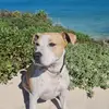 James Grattan - @james.grattan - TikTok