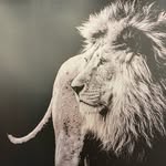 James Lee - @jamesgraysonlee - Instagram