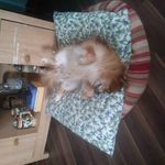 James Greeley - @james.greeley.9 - Instagram