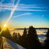 James Gregori656 - @jamesgregori1 - TikTok