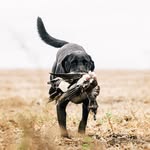 James Gresham - @devastate_em_outdoors - Instagram