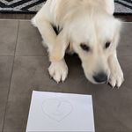 Jimmy james gribbin - @jimmy_james_gribbin_ - Instagram