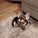 James Gridley - Facebook