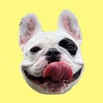 Griffey James - @therealgriffeyjames - Instagram