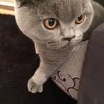 James Grimshaw - @hungry_shaw - Instagram