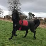 Tanya Grindley James - @tanya.jamesgrindley.52493 - Instagram