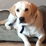 James Grinter - @jamesgrinter81 - Instagram