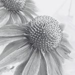 James Barry Griswold - @jamesbarrygris - Instagram