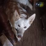 James Griswold - @griswold4183 - Instagram