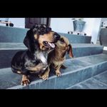 James Grobaski - @grobaskijames - Instagram