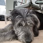 James Grogg - @doctorsupermunky - Instagram
