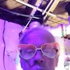 James Rummel - @james.rummel - TikTok