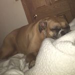 Buster James Grzesiak/b herbo - @buster.james.grz - Instagram