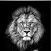 Jim Guilbault - Facebook