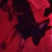 Ribbiee Ie - Facebook